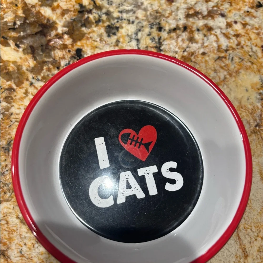 Red and Black Cat Bowl & saucer
